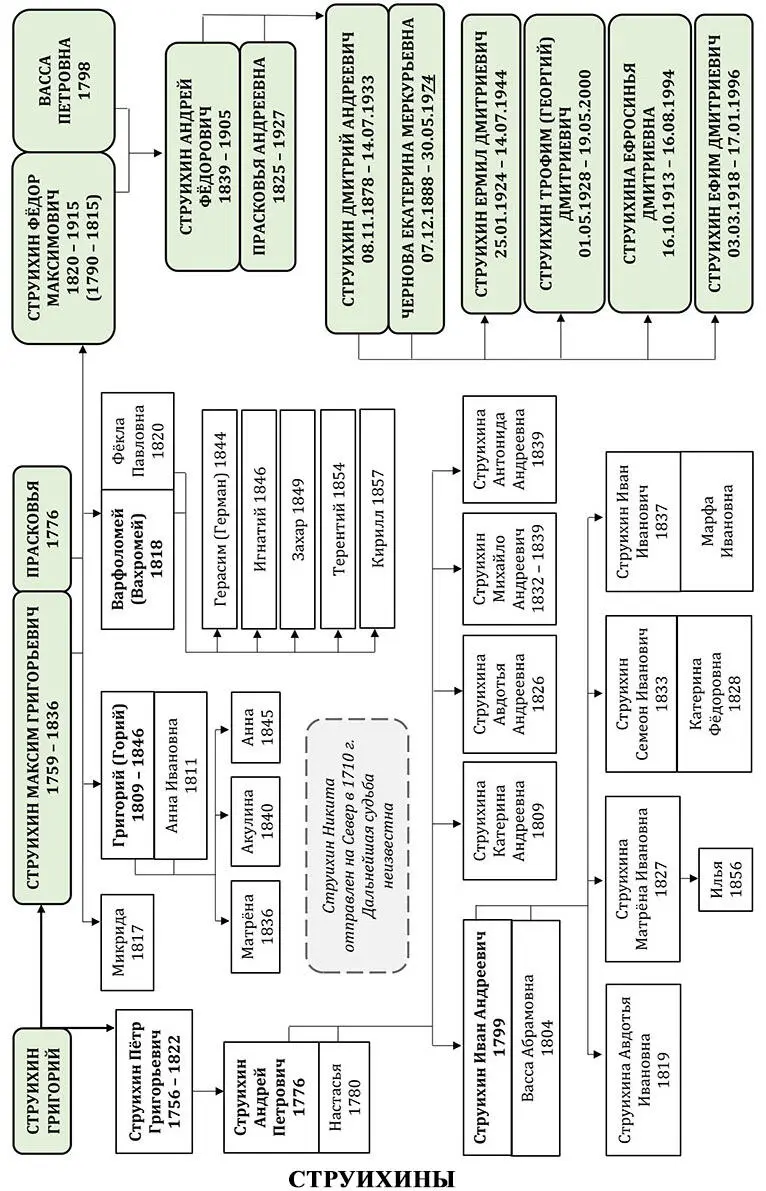 ИСТОРИЯ БИОГРАФИЯ СЕМЕЙСТВА СТРУИХИНЫХ Из записей Струихина Ефима - фото 17