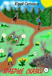 Юрий Ситников - Храбрые сказки