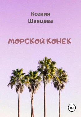 Ксения Шанцева Морской конек обложка книги