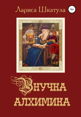 Лариса Шкатула Внучка алхимика обложка книги