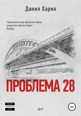 Данил Харин Проблема 28 обложка книги