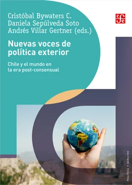 Cristóbal Bywaters C. Nuevas voces de política exterior обложка книги