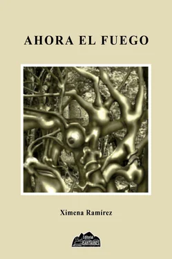 Ximena Ramírez Ahora el fuego обложка книги