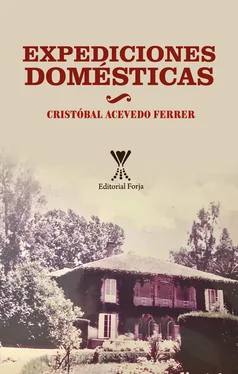 Cristóbal Acevedo Ferrer Expediciones domésticas обложка книги