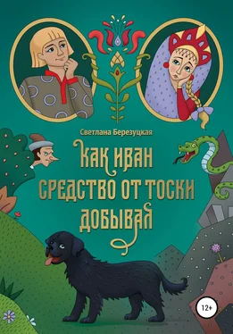 Светлана Березуцкая Как Иван средство от тоски добывал обложка книги