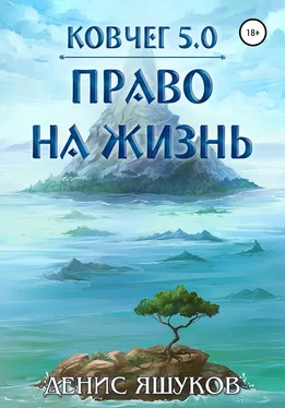 Денис Яшуков Ковчег 5.0. Право на жизнь обложка книги