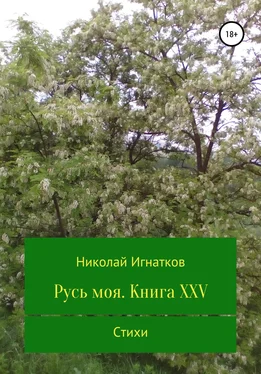 Николай Игнатков Русь моя. Книга XXV обложка книги