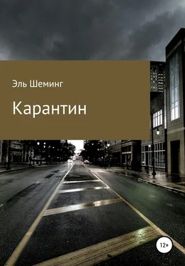 Эль Шеминг Карантин обложка книги