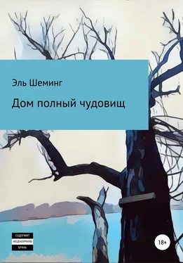 Эль Шеминг Дом полный чудовищ обложка книги