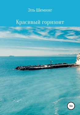 Эль Шеминг Красивый горизонт обложка книги