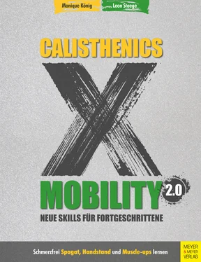 Monique König Calisthenics X Mobility 2.0 обложка книги