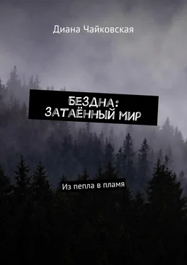 Диана Чайковская Бездна: затаённый мир. Из пепла в пламя обложка книги