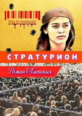 Роман Аленских Стратурион обложка книги