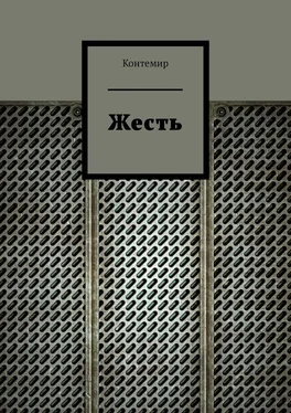 Контемир Жесть обложка книги