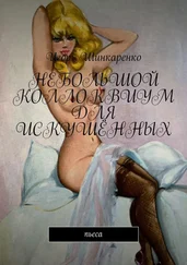 Игорь Шинкаренко - НЕБОЛЬШОЙ КОЛЛОКВИУМ ДЛЯ ИСКУШЁННЫХ. Пьеса