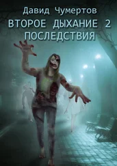 Давид Чумертов - Второе дыхание – 2. Последствия