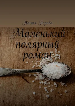 Настя Перова Маленький полярный роман обложка книги