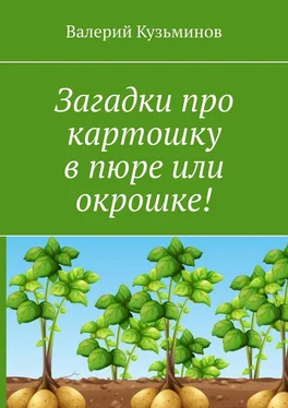 Валерий Кузьминов Загадки про картошку в пюре или окрошке! обложка книги