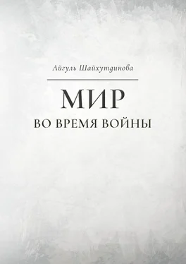 Айгуль Шайхутдинова Мир во время войны обложка книги