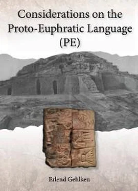 Erlend Gehlken Considerations on the Proto-Euphratic Language (PE) обложка книги