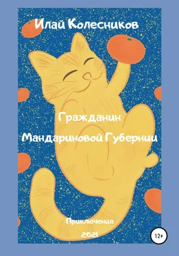 Илай Колесников Гражданин Мандариновой Губернии обложка книги