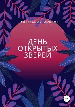 Александр Фурсов День открытых зверей обложка книги