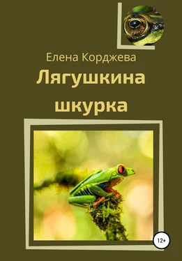 Елена Корджева Лягушкина шкурка обложка книги