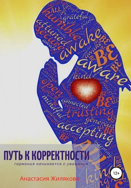 Анастасия Жилякова Путь к корректности. Гармония начинается с уважения обложка книги