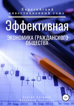 Владимир Чиковани Эффективная экономика гражданского общества обложка книги