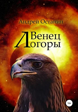 Андрей Останин Венец Логоры обложка книги