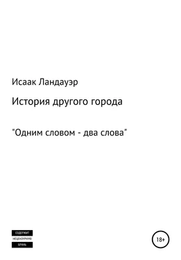 Исаак Ландауэр История другого города обложка книги