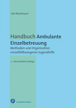 Ute Reichmann Handbuch Ambulante Einzelbetreuung обложка книги