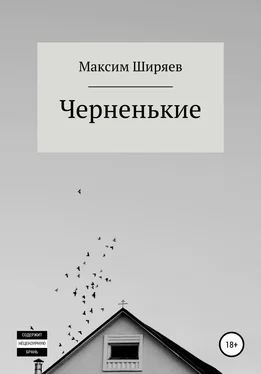 Максим Ширяев Черненькие обложка книги