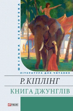 Редьярд Кіплінг Книга Джунглів (збірник) обложка книги