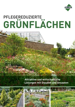 Stefan Schmidt Pflegereduzierte Grünflächen обложка книги