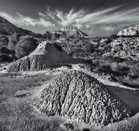 Fotografía digital en blanco y negro - фото 6