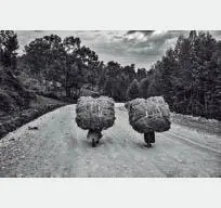 En nuestro mundo global la fotografía sigue siendo una maravillosa y eficaz - фото 52