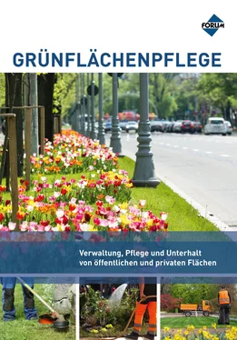 Torsten F. Barthel Grünflächenpflege обложка книги