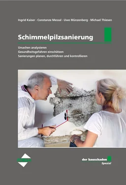 Michael Thiesen der bauschaden-Spezial Schimmelpilzsanierung обложка книги