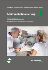 Michael Thiesen - der bauschaden-Spezial Schimmelpilzsanierung