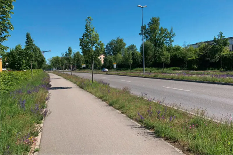 Bild 9 In den Ein und Ausfallstraßen ist die Bepflanzung extensiver angelegt - фото 31
