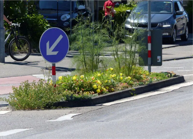 Bild 7 Auf diesem Trockenstandort konkurrieren Fenchel und Nachtkerze um die - фото 27