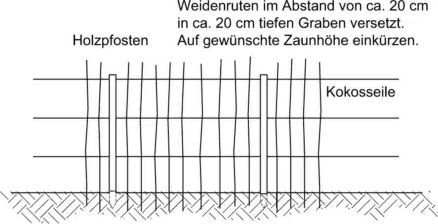 Bild 2 Variante mit senkrecht gesteckten Weidenruten Quelle Andres Bild - фото 5