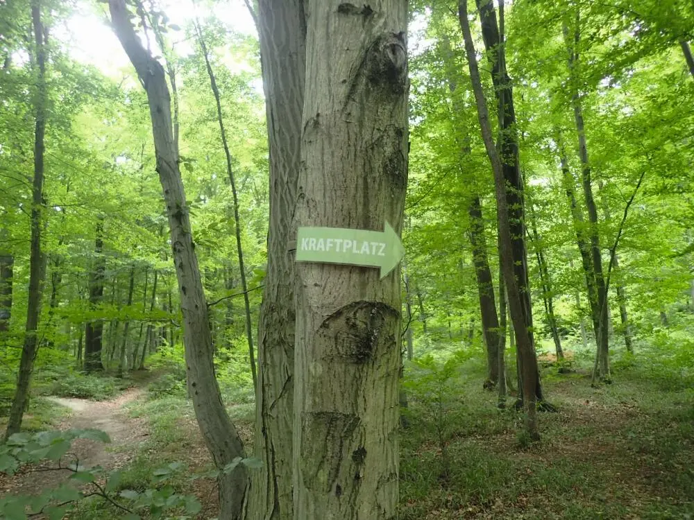 Bild 7 Beschilderung im Wald der Ewigkeit Quelle Norbert Fischer Ein - фото 16