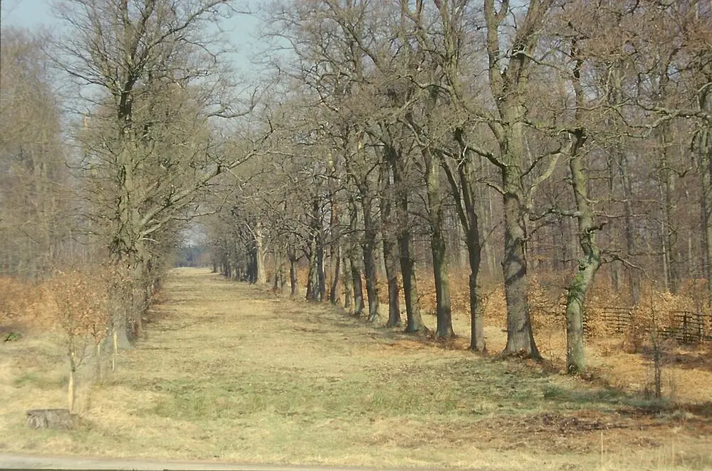 Bild 1 Der erste deutsche Bestattungswald der Friedwald in Reinhardwald Foto - фото 8