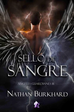 Nathan Burkhard Sello de Sangre обложка книги