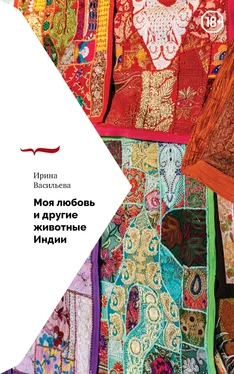 Ирина Васильева Моя любовь и другие животные Индии обложка книги