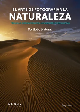 vvaa El arte de fotografiar la naturaleza обложка книги