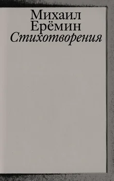 Михаил Ерёмин Стихотворения обложка книги