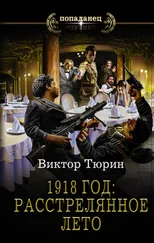 Виктор Тюрин - 1918 год - Расстрелянное лето